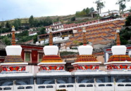 西宁塔尔寺门票,价格、优惠政策及游览指南