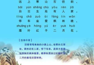 白云深处有人家打一成语,探寻‘白云深处有人家的成语意境”