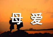 关于母爱的名言十个字,无私奉献